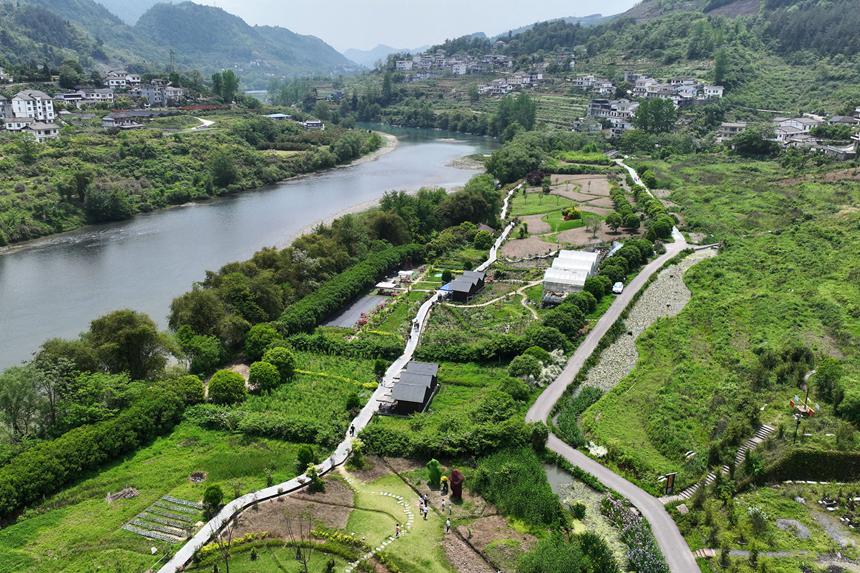 阿蓬江國(guó)家濕地公園。楊敏攝