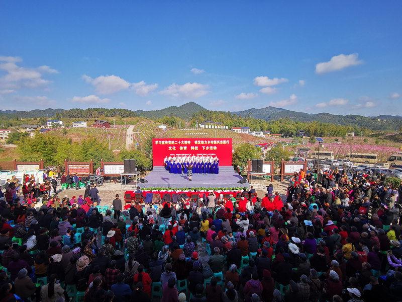 圍龍鎮(zhèn)開(kāi)展2023年賞花季活動(dòng)。張捍攝