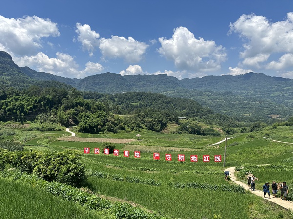 江津區(qū)蔡家鎮(zhèn)福德村整治后的耕地連成片。重慶市規(guī)劃和自然資源局供圖
