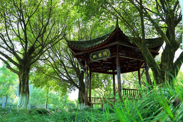 桐君閣藥廠廠區(qū)一角。桐君閣供圖