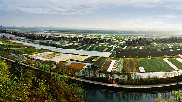 支持潼南打造“西部綠色菜都”。重慶農(nóng)商行供圖