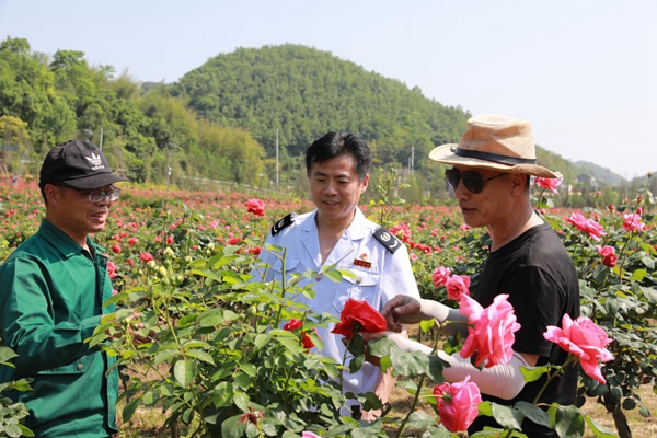 炎炎夏日，沙坪壩區(qū)稅務人員走訪花農(nóng)，了解企業(yè)經(jīng)營狀況，提供涉稅服務。陳賽亞攝