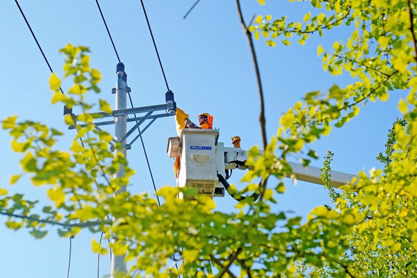 8月15日,在合川區(qū)工業(yè)園區(qū),帶電作業(yè)人員冒著酷暑實施帶電作業(yè)。高愛妮攝