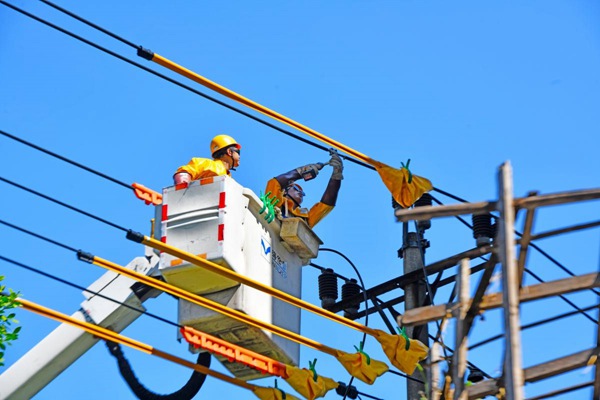 8月15日,在合川區(qū)振興路,帶電作業(yè)人員進(jìn)行帶電搭火作業(yè)。高愛妮攝