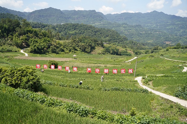 江津蔡家鎮(zhèn)福德村市級土地開發(fā)整理項目。重慶市規(guī)劃和自然資源局供圖