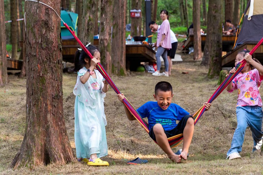 游客在森林公園里露營享受“清涼一夏”。瞿明斌攝