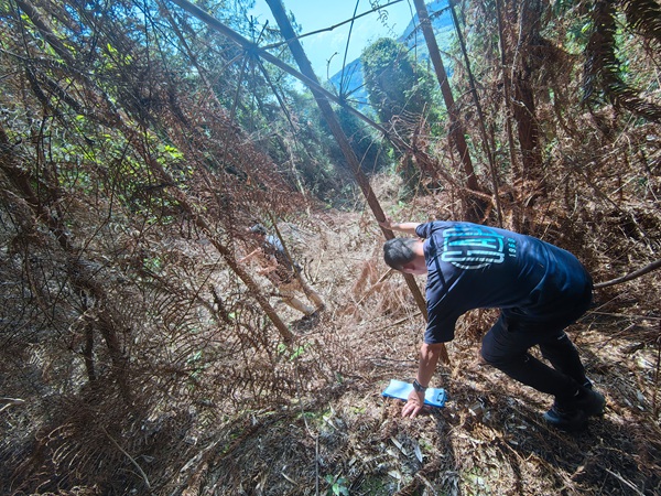 《爬山穿林》。6月26日，頂著烈烈炎日，川東南地質隊駐守地質工程師朱放在梁平區(qū)七星鎮(zhèn)老碗廠滑坡治理工程勘查項目進行現(xiàn)場踏勘。王鵬飛攝