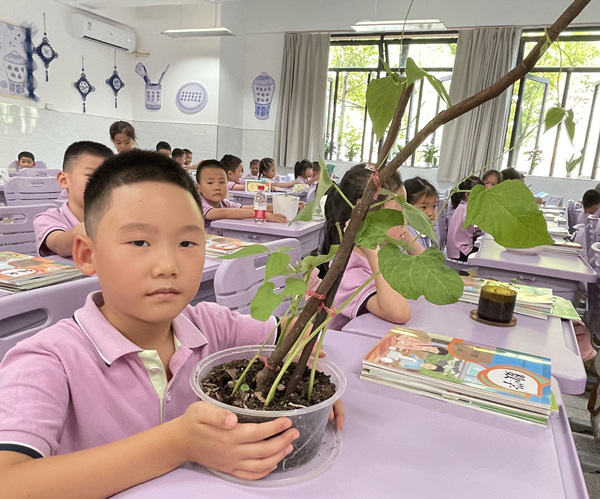 躥得極高的花豆幼苗。晏紅霞攝