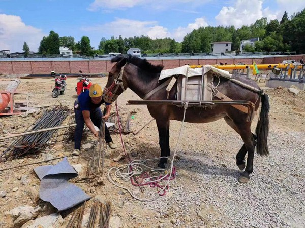 由于地形復(fù)雜，部分路段只能用騾子搬運(yùn)建設(shè)物資。重慶燃?xì)饧瘓F(tuán)供圖