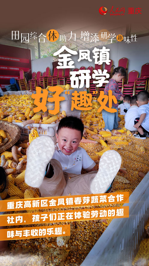 科學(xué)城金鳳鎮(zhèn)推出多個(gè)特色研學(xué)點(diǎn)