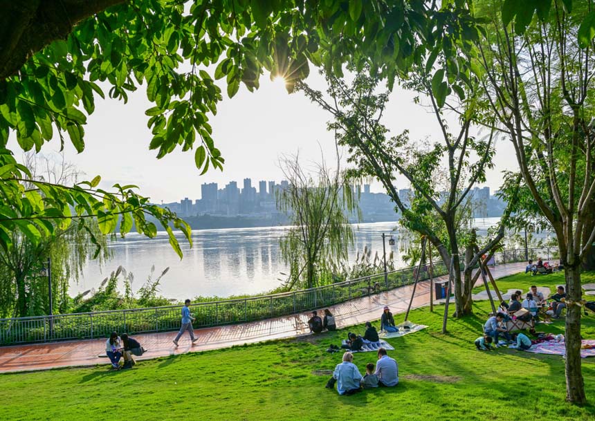 南岸區(qū)大魚海棠公園，市民在此露營享受周末陽光。郭旭攝