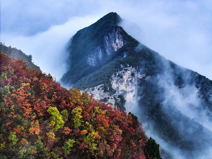 瞿塘峽岸邊的紅葉。王正坤攝