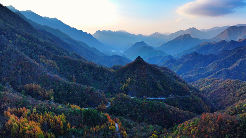 深秋時(shí)節(jié)，大巴山呈現(xiàn)出層林盡染的秋日美景。李野攝