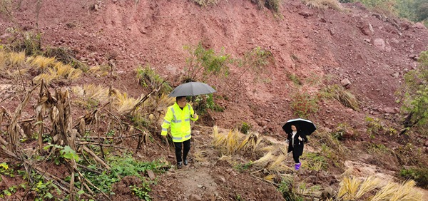 《守護(hù)者》（組圖）三。圖為11月9日，銅鼓鎮(zhèn)片區(qū)負(fù)責(zé)人趙祖群和水流村群測(cè)群防員王安然在兌窩子坪滑坡中心區(qū)域進(jìn)行排查，持續(xù)監(jiān)測(cè)地災(zāi)隱患點(diǎn)，防止次生災(zāi)害發(fā)生。劉勇攝