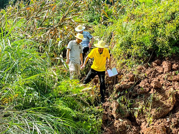 《山林間走出“安全”》。8月22日，市級專家余波、張志偉和重慶地質(zhì)礦產(chǎn)研究院駐守工程師王剛一起跋涉在山間，對南川區(qū)大觀鎮(zhèn)鐵橋村五顯廟滑坡現(xiàn)場踏勘。張旭攝