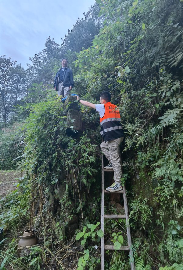 《登爬云梯排隱患，百姓安全重千鈞》10月5日，受連續(xù)降雨影響，云陽縣高陽鎮(zhèn)白元村村民屋后發(fā)生險情，重慶地質(zhì)礦產(chǎn)研究院駐守地質(zhì)工程師王松腳踩懸梯到村民屋后開展隱患調(diào)查，確定變形范圍，劃定危險區(qū)域，切實保障群眾生命財產(chǎn)安全。彭巍攝.