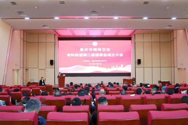 會議現(xiàn)場。重慶市精神衛(wèi)生中心供圖