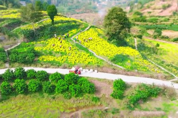 村道硬化。璧山區(qū)中醫(yī)院供圖