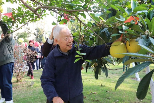 采摘柚子。兩江新區(qū)人民醫(yī)院供圖