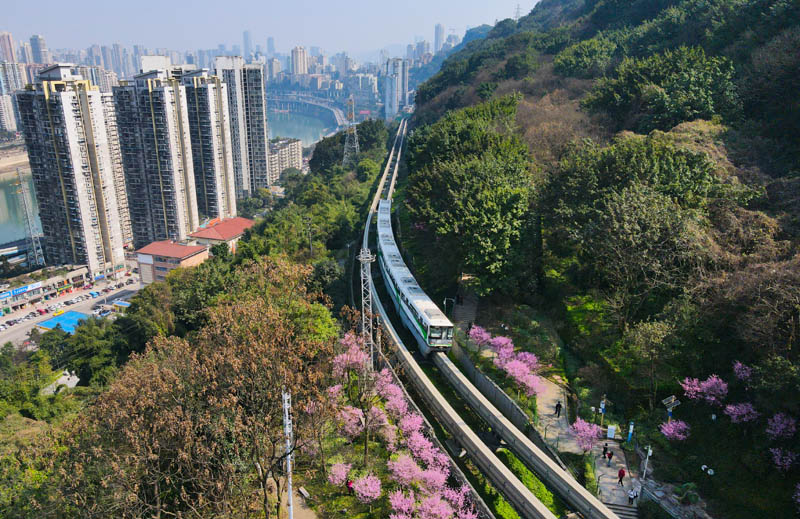 佛圖關(guān)公園“開往春天的列車”網(wǎng)紅景觀。人民網(wǎng) 陳琦攝