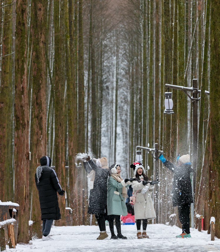 1月22日，南川區(qū)喀斯特國家生態(tài)園，游客在雪中嬉戲。通訊員 羅川 攝/視覺重慶