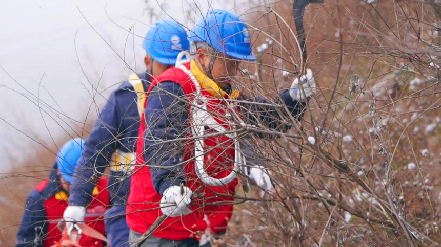 電力巡線員們用砍刀清理巡線路上的樹障。彭子紋攝