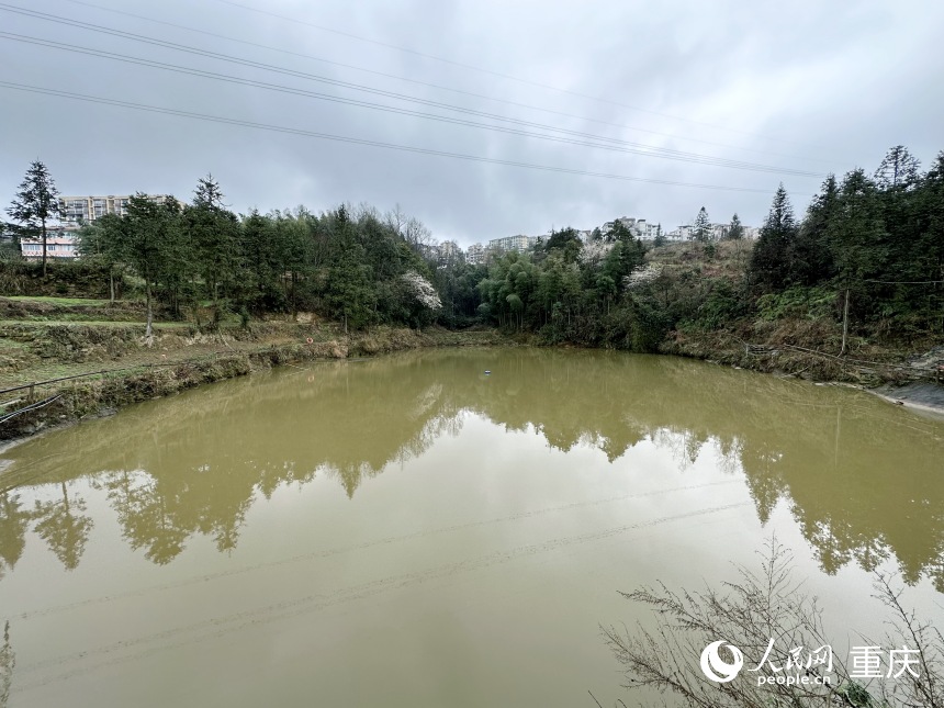 									跨省聯治讓碧水漾山塘					受冷空氣影響，重慶高海拔地區(qū)飄起了雪花。2月23日上午，家住重慶市江津區(qū)柏林鎮(zhèn)東勝村的村民李長智推開窗，欣賞著漫天飛舞的雪景?！耙郧?，特別是夏天，我家的窗戶時常是緊閉著的。”為何不開窗？原來，李長智家正門前分布著兩條露天污水溝。一到夏天，污水溝流經的水量不僅大，還會散發(fā)著難聞的氣味。				
