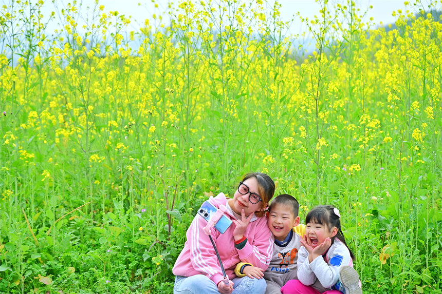 南岸區(qū)廣陽島，游客在油菜花海里拍照。郭旭攝