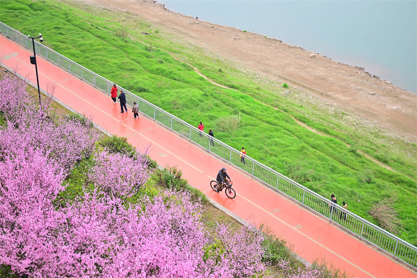 南濱路雅巴洞江灘公園，市民踏青賞花，享受周末的美好時(shí)光。郭旭攝