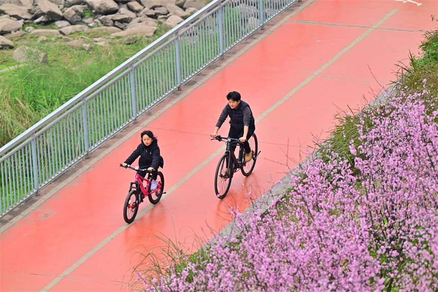 南濱路雅巴洞江灘公園，市民踏青賞花，享受周末的美好時光。郭旭攝