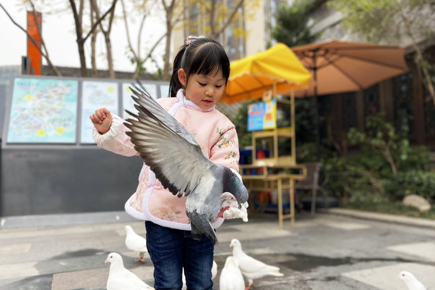 給小動物喂食。朝陽幼教集團供圖