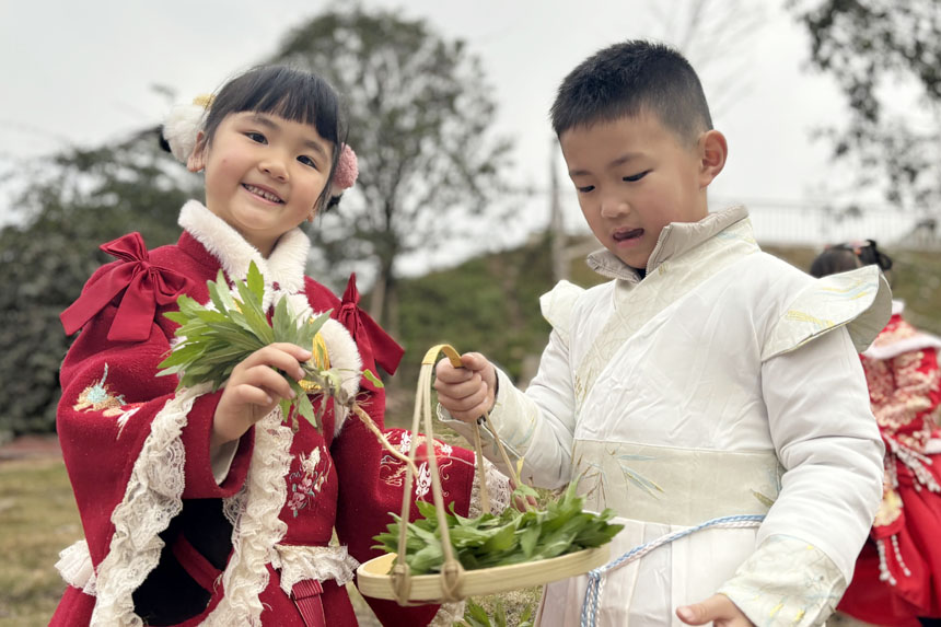 摘野菜。朝陽(yáng)幼教集團(tuán)供圖