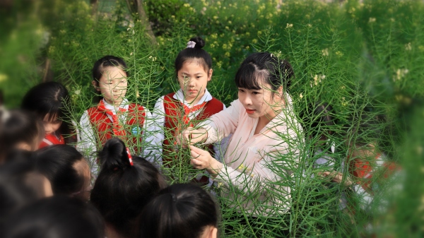 學(xué)生在實(shí)踐基地學(xué)習(xí)油菜花的相關(guān)知識(shí)。萬盛經(jīng)開區(qū)福耀實(shí)驗(yàn)學(xué)校供圖