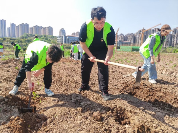 學(xué)生體驗(yàn)種植艾蒿。重慶理工大學(xué)供圖