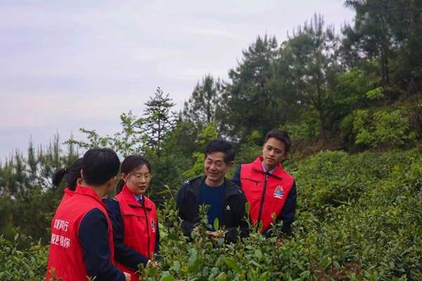 近日，大足區(qū)稅務(wù)人員到古龍茶山幫助采摘春茶，宣傳稅費(fèi)優(yōu)惠政策。蔡茂元攝