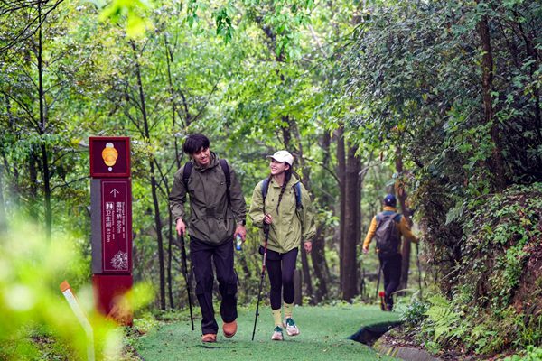 金佛山徒步。景區(qū)供圖