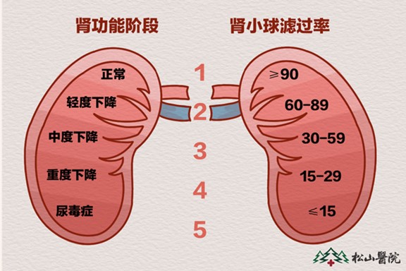 腎功能階段。重慶松山醫(yī)院供圖