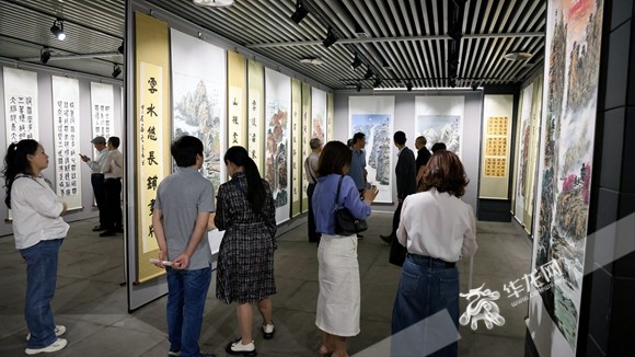 書畫展吸引了很多市民參觀。華龍網(wǎng)記者 李燊 攝
