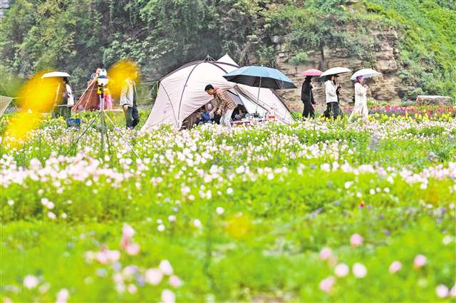 5月2日，南川區(qū)三泉鎮(zhèn)萬卷書臺景區(qū)，游客在露營游玩。通訊員 羅川 攝/視覺重慶