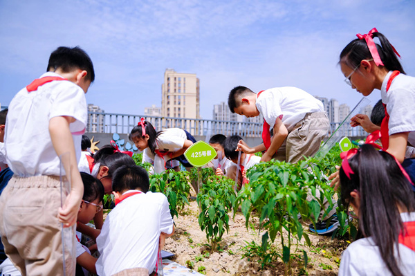 渝北區(qū)中央公園小學(xué)?！短矫乩苯贰氛n堂展示。渝北區(qū)中央公園小學(xué)校供圖