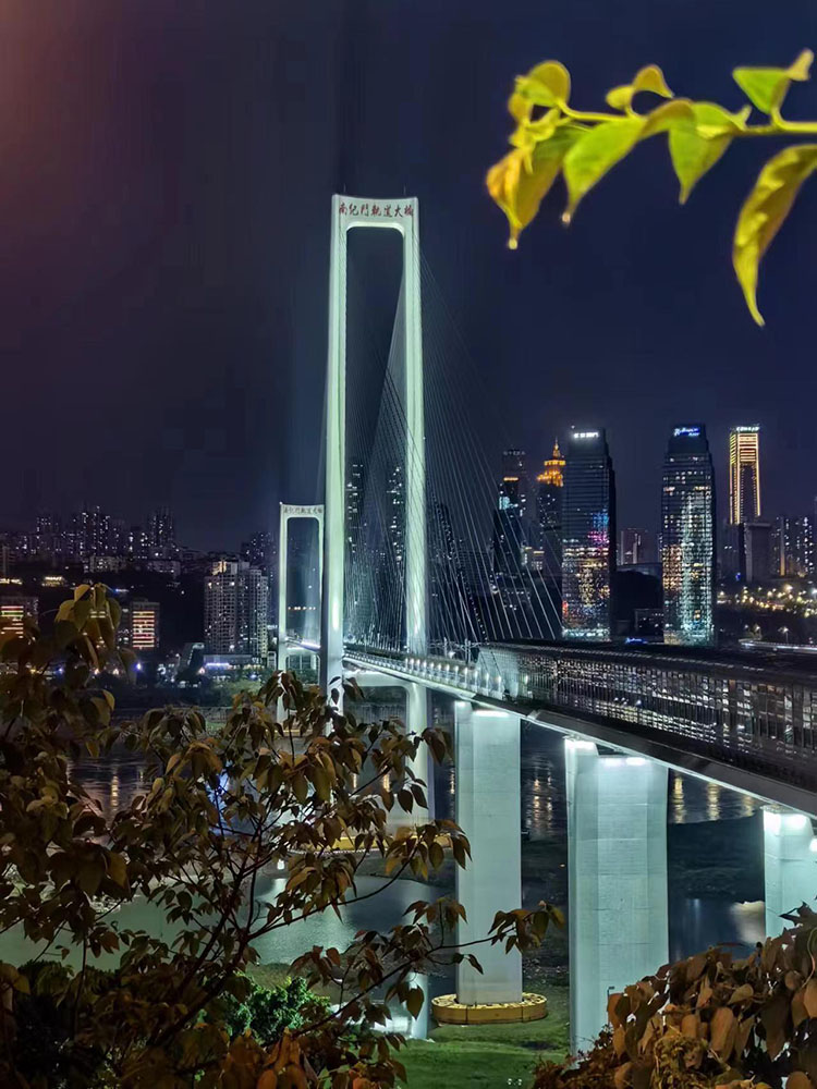 重慶的大橋。 人民網 鐘文興攝