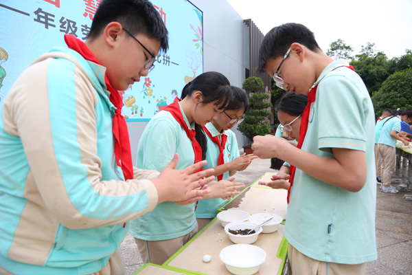 包湯圓。橡樹灣小學(xué)供圖