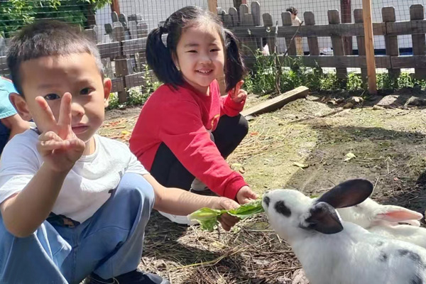 喂兔子。大學(xué)城樹人幼兒園供圖