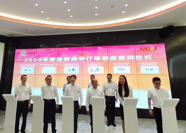訂單農(nóng)業(yè)簽約儀式。張艷攝