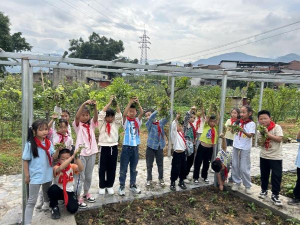戶外體驗館活動。新華小學供圖