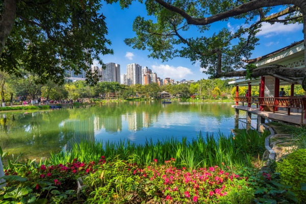 大渡口公園。鐘戈攝
