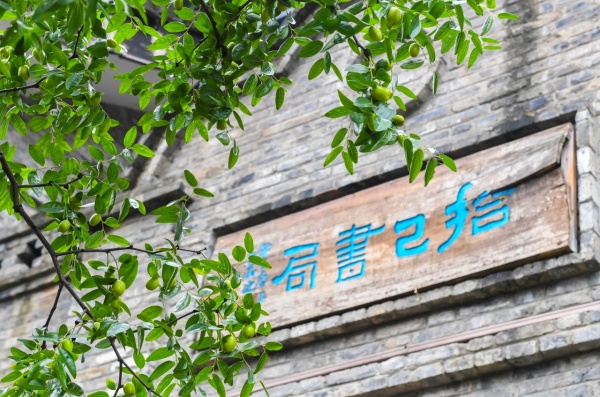南岸區(qū)圖書館文史分館。南岸區(qū)融媒體中心供圖