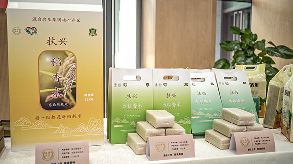 推介會現(xiàn)場圖。夫余熊貓糧品供圖