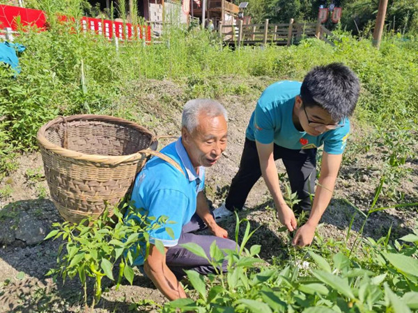 服務(wù)團(tuán)成員深入田間地頭開展勞動教育。重慶郵電大學(xué)供圖