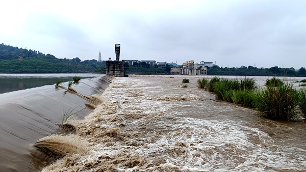 安居鎮(zhèn)楊樂(lè)村滾水壩附近涪江洪水奔涌。銅梁區(qū)委宣傳部供圖
